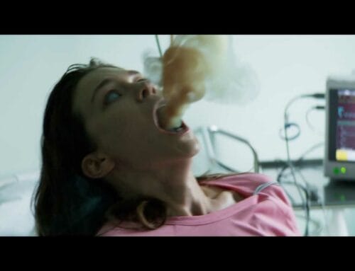 ‘INFINITE SUMMER’- FIFF 2024