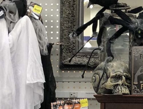 Evergreen Goodwill Encourages Thrifting for Sustainable Halloween Décor